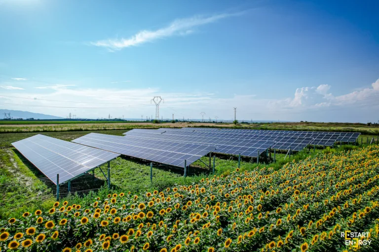 În ultimii patru ani, capacitatea de energie regenerabilă a Moldovei s-a triplat