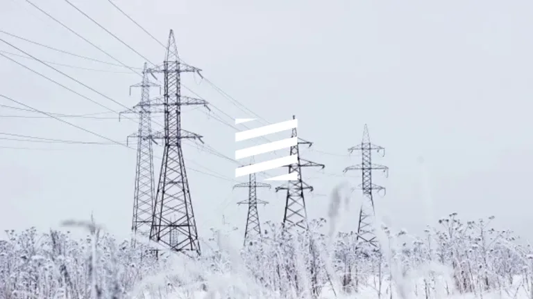 Poleiul pune rețelele la pământ: mii de consumatori fără energie, echipele intervin 24/24