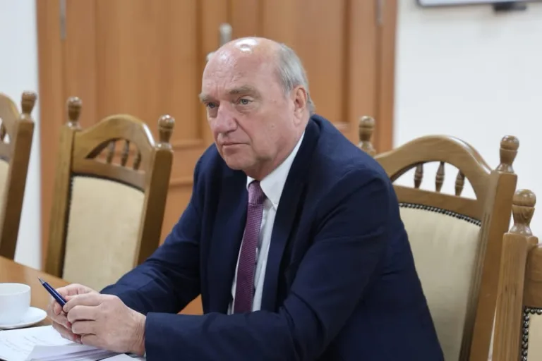 Moldelectrica discută cu Borchardt interconectarea cu România prin linia 400 kV Bălți Suceava